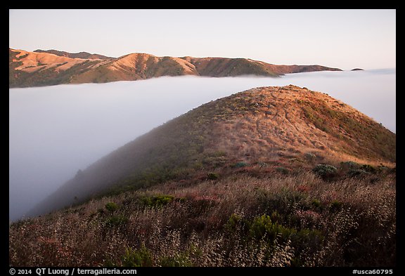 Low below coastal hills, Garrapata State Park. Big Sur, California, USA (color)