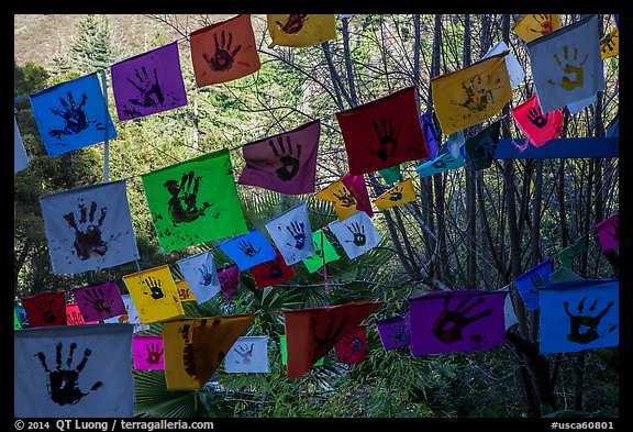 Flags in garden. Big Sur, California, USA (color)