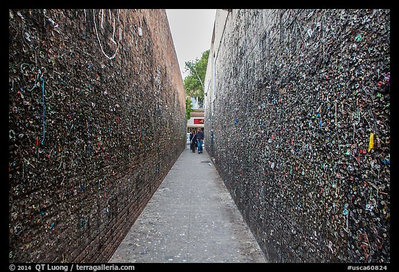 Bubblegum Alley. California, USA (color)