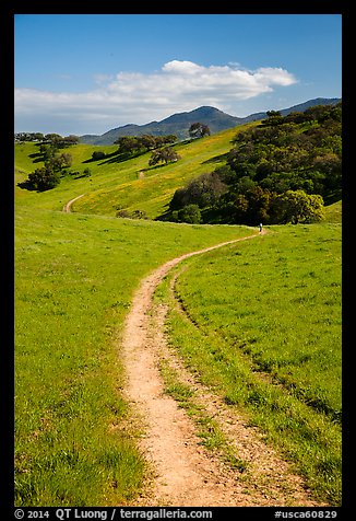 Trail and luch hills, Pacheco State Park. California, USA (color)