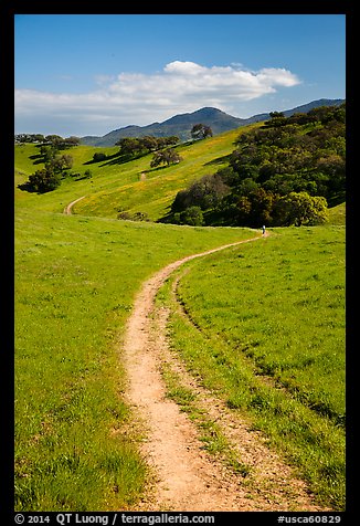 Trail and luch hills, Pacheco State Park. California, USA