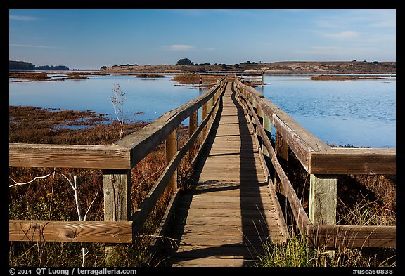 Boardwalk, Elkhorn Slough. California, USA (color)