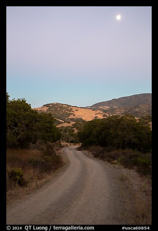 Road at dusk and moon. California, USA (color)