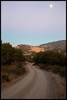 Road at dusk and moon. California, USA ( color)