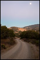 Road at dusk and moon. California, USA ( color)