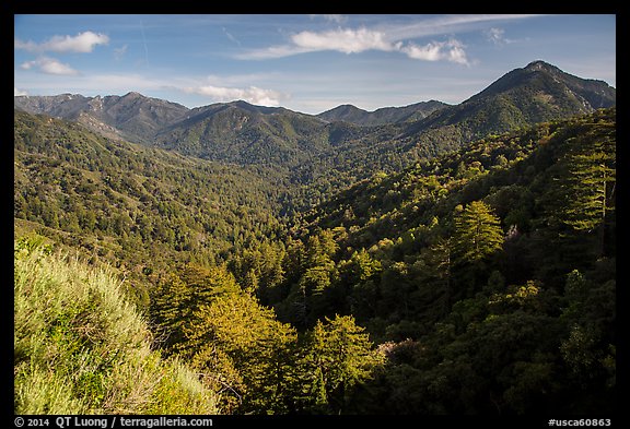 View from Bottchers Gap, Los Padres National Forest. Big Sur, California, USA (color)