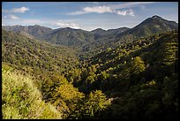 View from Bottchers Gap, Los Padres National Forest. Big Sur, California, USA ( color)