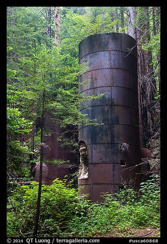 Lime kilns, Limekiln State Park. Big Sur, California, USA (color)