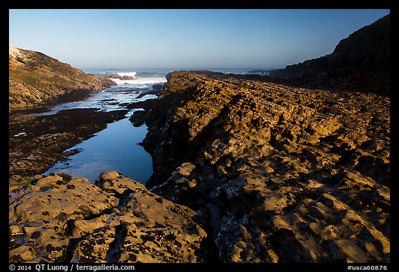 Rock rib, early morning, Spooners Cove, Montana de Oro State Park. Morro Bay, USA (color)