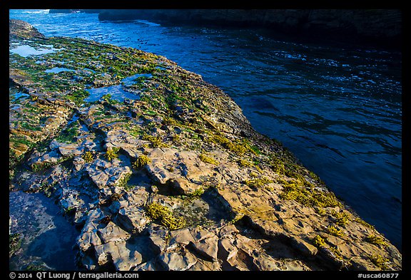 Rock slab and ocean channel, Montana de Oro State Park. Morro Bay, USA (color)