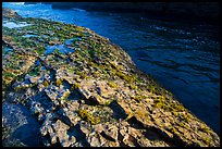 Rock slab and ocean channel, Montana de Oro State Park. Morro Bay, USA ( color)