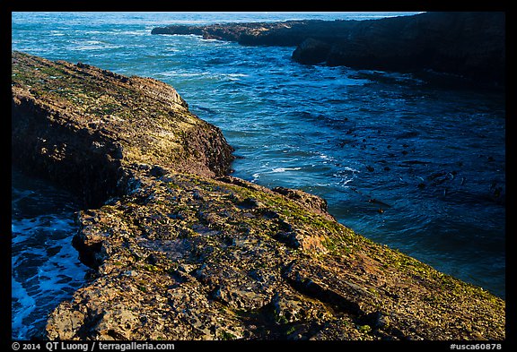 Rock and ocean, Spooners Cove, Montana de Oro State Park. Morro Bay, USA (color)