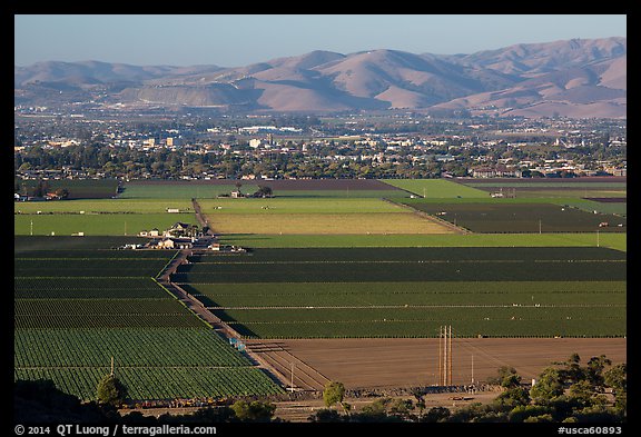 Agricultural lands in Salinas Valley. California, USA (color)