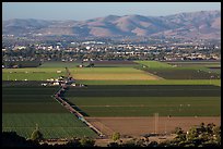 Agricultural lands in Salinas Valley. California, USA ( color)