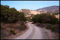 Road and hills at dusk. California, USA ( color)