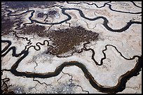 Aerial view of salt marsh. Palo Alto,  California, USA ( color)