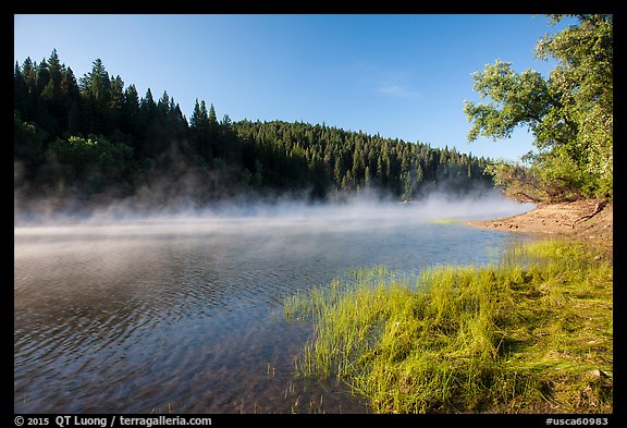 Early morning fog raising from Jenkinson Lake. California, USA (color)