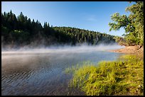 Early morning fog raising from Jenkinson Lake. California, USA ( color)