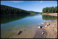 Jenkinson Lake on calm morning, Pollock Pines. California, USA ( color)