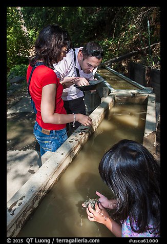 Visitors panning for gold, Gold Bug Mine, Placerville. California, USA (color)