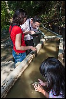 Visitors panning for gold, Gold Bug Mine, Placerville. California, USA ( color)