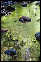 Boulders and green foliage reflection in river. California, USA ( color)