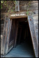 Entrance of historic Gold Bug Mine, Placerville. California, USA ( color)