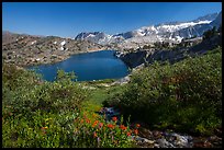 Wildflowers, stream, and lake, Twenty Lakes Basin, Inyo National Forest. California, USA ( color)