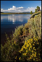 Prosser Reservoir, Tahoe National Forest. California, USA ( color)