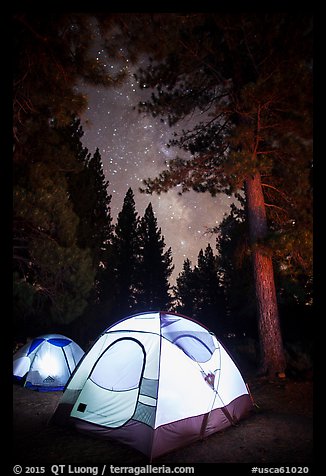 Lighted tents, forest, and Milky Way, Prosser Ranch Group Campground, Tahoe National Forest. California, USA (color)