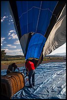 Crew pulling down hot air ballon, Tahoe National Forest. California, USA ( color)