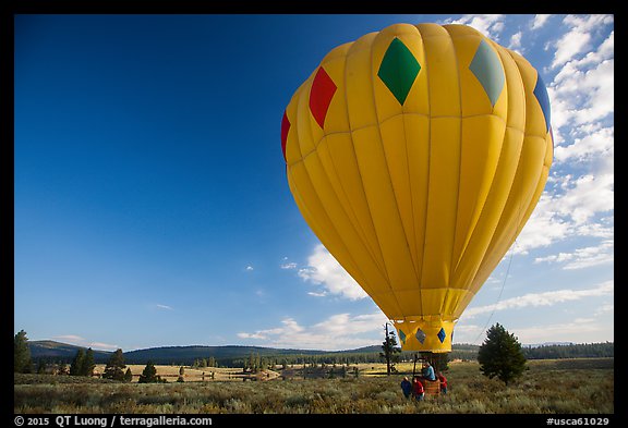 Hot air balloon carried after landing, Tahoe National Forest. California, USA (color)