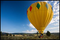 Hot air balloon carried after landing, Tahoe National Forest. California, USA ( color)