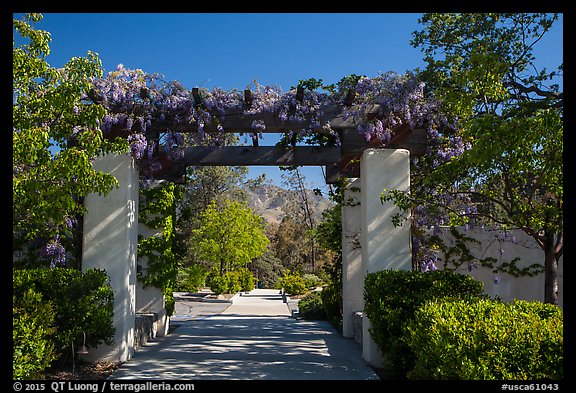 Garden framing hills, Cesar Chavez National Monument, Keene. California, USA (color)