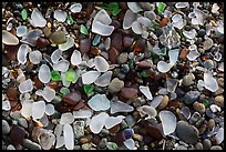 Seaglass close-up. Fort Bragg, California, USA ( color)