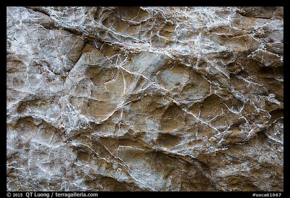 Honeycombed rock formations. Fort Bragg, California, USA (color)