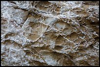 Honeycombed rock formations. Fort Bragg, California, USA ( color)