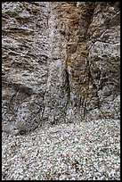 Seaglass and rock. Fort Bragg, California, USA ( color)