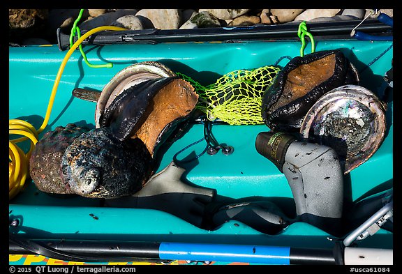 Sea Kayak with abalone and diving gear. California, USA (color)