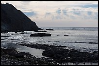 Coastline near Point Arena Creek. California, USA ( color)