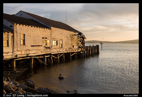 Wharf in late afternoon, Bodega Bay. Sonoma Coast, California, USA (color)