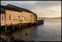 Wharf in late afternoon, Bodega Bay. Sonoma Coast, California, USA ( color)