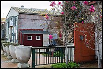 Magnolia and art gallery building. Petaluma, California, USA ( color)