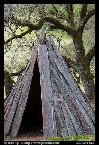 Kotcha redwood bark Coast Miwok dwelling, Olompali State Historic Park. Petaluma, California, USA (color)