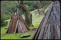 Reconstructed Miwok village, Olompali State Historic Park. Petaluma, California, USA ( color)