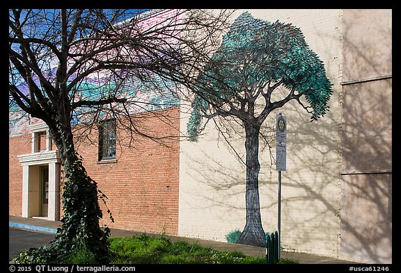 Tree and mural, Willits. Sonoma Valley, California, USA