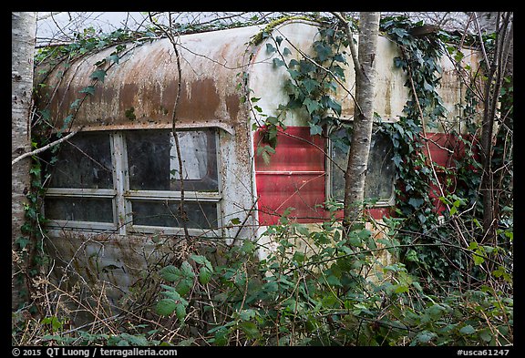 Overgrown trailer, Klamath. California, USA (color)
