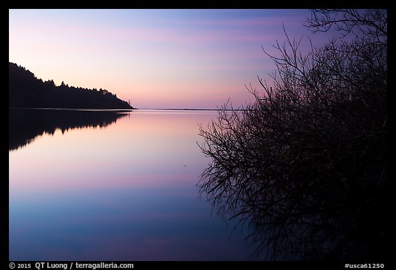 Bare shrub and ridge at sunset, Humboldt Lagoons State Park. California, USA (color)