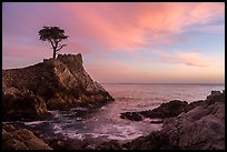 Lone Cypress and cove at sunset. Pebble Beach, California, USA ( color)