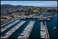 Aerial view of harbor. Monterey, California, USA ( color)